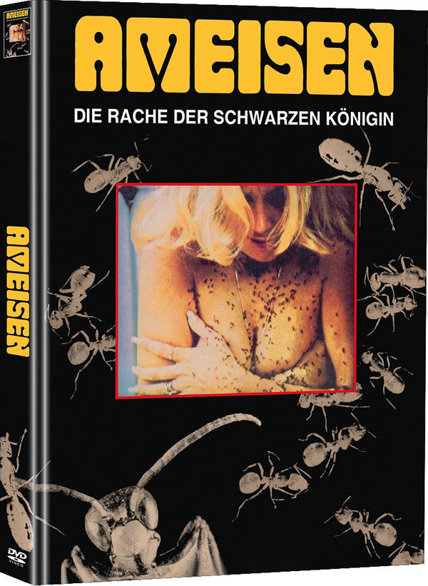 lightbox image