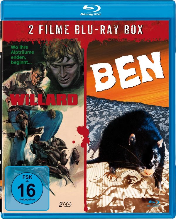 lightbox image