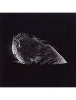 Film: Coldplay - The Scientist (Single)