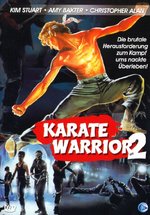 Film: Karate Warrior 2 - Blood Tiger