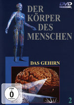 Film: Der Körper des Menschen 2