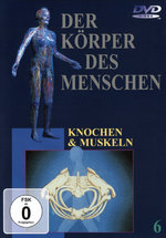 Film: Der Körper des Menschen 6