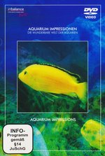 Film: Aquarium Impressionen