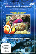 Film: Tropische Aquarium Impressionen