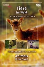 Film: Tiere im Wald