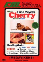 Film: Russ Meyer - Megavixens