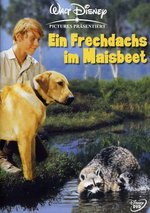 Film: Ein Frechdachs im Maisbeet