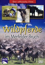 Film: Wildpferde im Merfelder Bruch