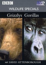 Film: Wildlife Specials - Grizzlys/Gorillas