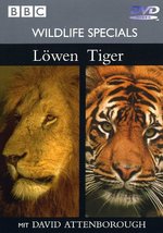 Film: Wildlife Specials - Löwen/Tiger