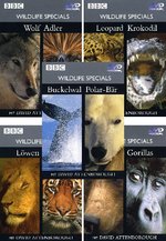 Film: Wildlife Specials - Paket [5 DVDs]