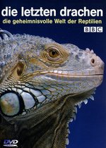 Film: Die letzten Drachen