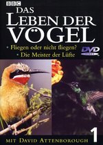 Film: Das Leben der Vögel - Teil 1