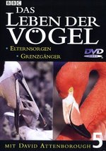Film: Das Leben der Vögel - Teil 5