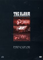 Film: The Alarm - Live in the Poppy Fields (+ CD)