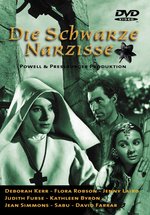 Film: Die schwarze Narzisse