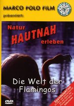 Film: Die Welt der Flamingos