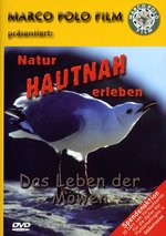 Film: Das Leben der Möwen