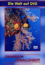 Film: Lebensraum Korallenriff