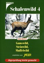 Film: Schalenwild 4 - Gamswild/Steinwild/Muffelwild