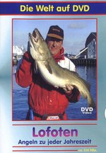 Film: Lofoten - Angeln zu jeder Jahreszeit