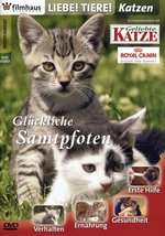 Film: Liebe Tiere! - Katzen