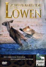Film: Schwimmende Löwen