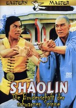Film: Shaolin - Die Bruderschaft der schwarzen Spinne