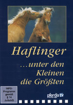 Film: Haflinger - Unter den Kleinen die Größten