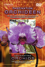 Film: Faszination Orchideen