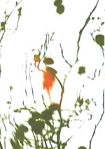 Film: Slide - Yuki Kawamura