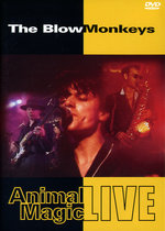 Film: The Blow Monkeys - Animal Magic/Live 1986