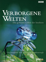 Film: Verborgene Welten - Das geh. Leben ... [2 DVDs]