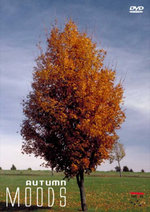 Film: Moods - Autumn