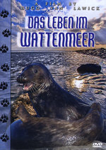 Film: Das Leben im Wattenmeer