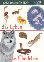 Film: Geheimnisvolle Welt - Das Leben/Das Überleben