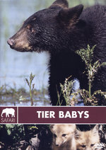 Film: Safari - Tierbabys