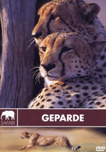 Film: Safari - Geparde