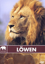 Film: Safari - Löwen