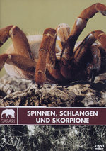 Film: Safari - Spinnen, Schlangen und Skorpione