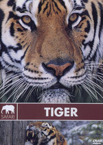 Film: Safari - Tiger
