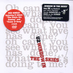 Film: U2 - Window in the Skies [LE] (Single)