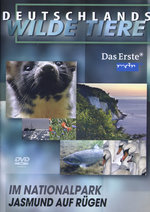 Film: Deutschlands wilde Tiere - Jasmund auf Rügen