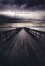 Film: Echo and the Bunnymen - Dancing Horses