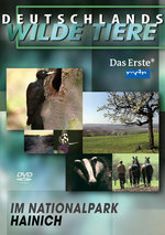 Film: Deutschlands wilde Tiere - Nationalpark Hainich
