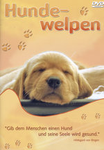 Film: Hundewelpen