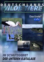 Film: Deutschlands wilde Tiere - Untere Elbtalaue
