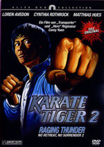 Film: Karate Tiger 2