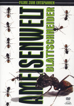 Film: Ameisenwelt - Blattschneider