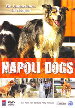 Film: Napoli Dogs - Ein Hundeleben in Neapel